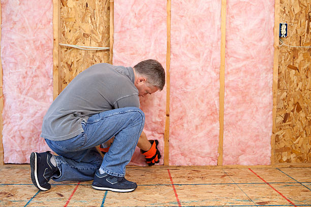 Best Soundproof Insulation Installation  in Paonia, CO