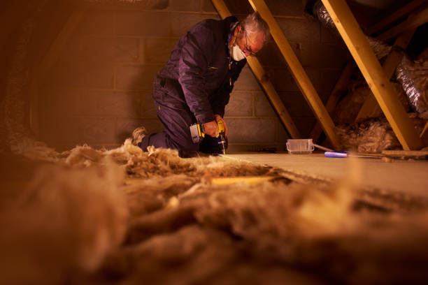 Best Energy-Efficient Insulation  in Paonia, CO