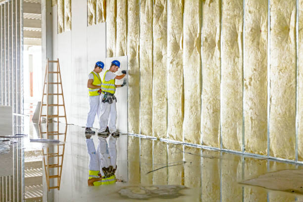 Best Professional Insulation Contractor  in Paonia, CO